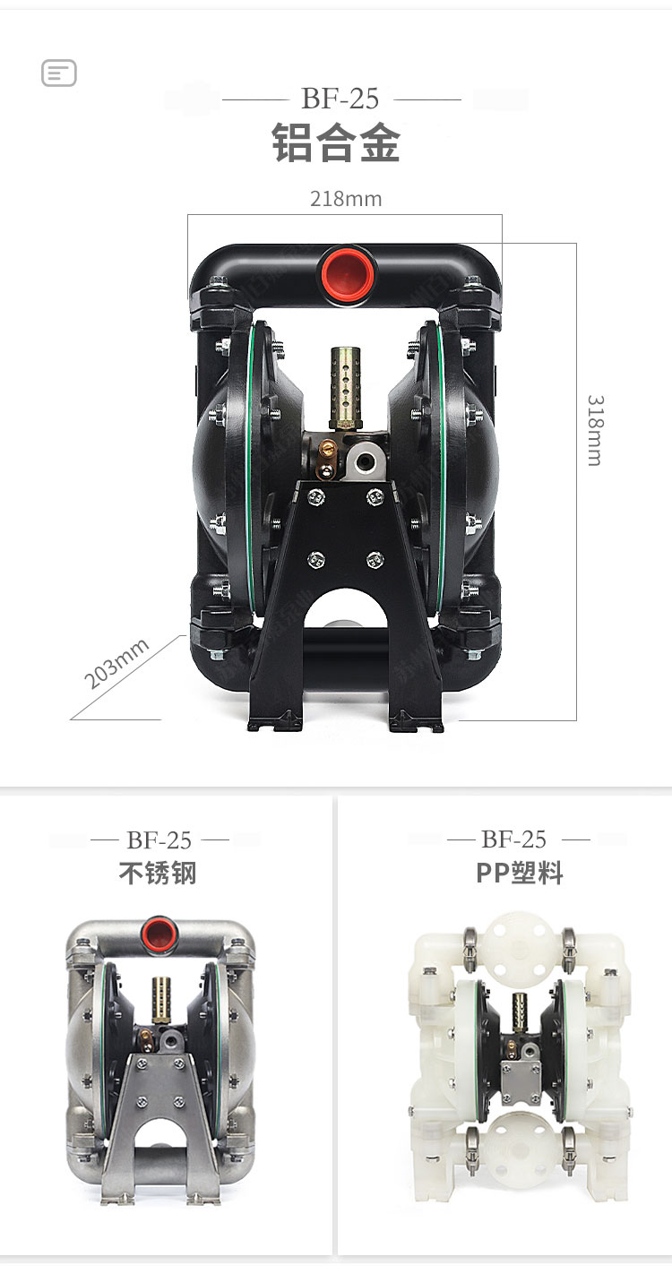 BF型大流量氣動(dòng)隔膜泵(圖6)